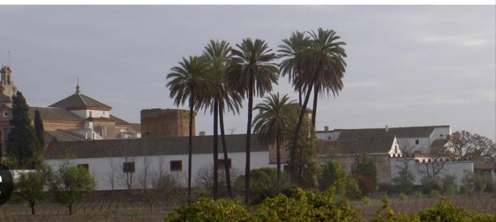 Apartamento Turistico Damajuana Parking Free Espartinas Exterior photo